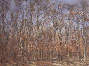 Ferdinand Hodler The Beech Forest (nn02) oil painting
